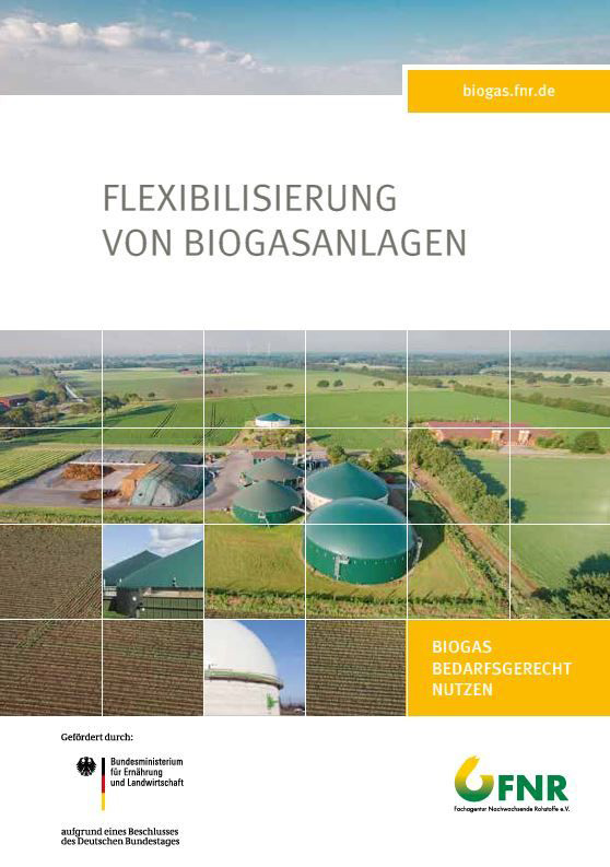 Cover der Broschüre „Flexibilisierung von Biogasanlagen“